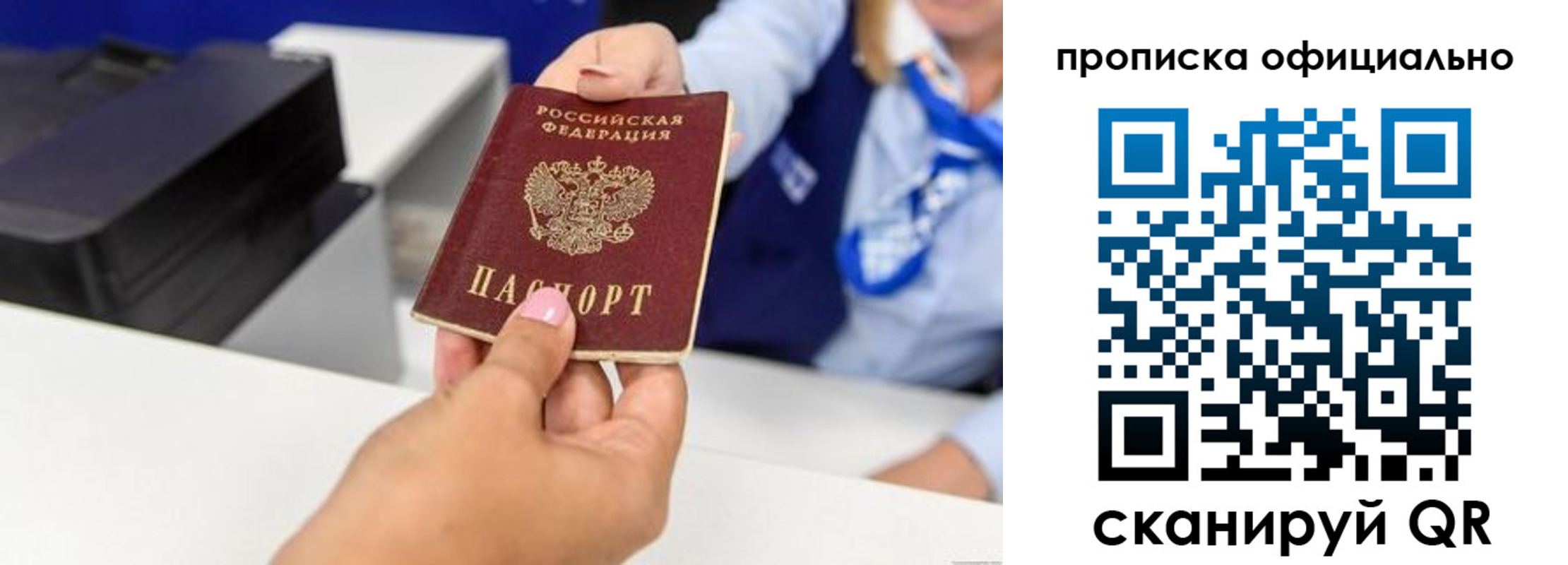 прописка в квартире в Ермолино