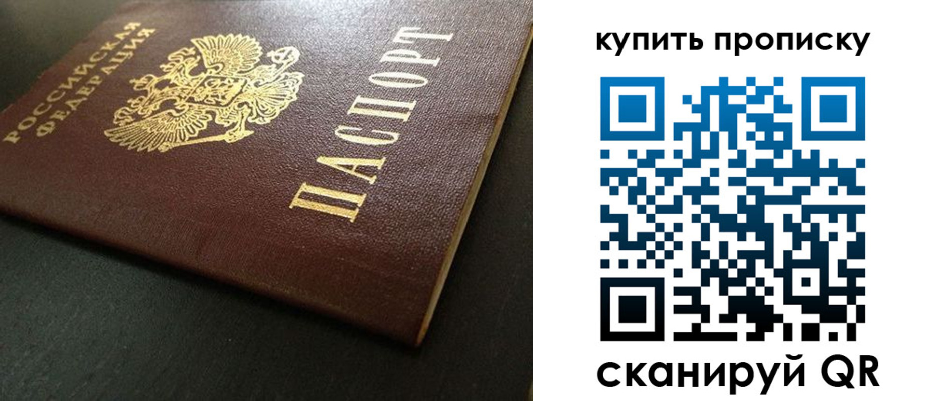 прописка законно в Ермолино